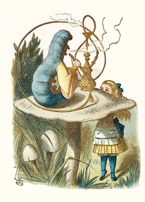Illustration from The Nursery "Alice", containing twenty coloured enlargements from Tenniel's illustrations to "Alice's Adventures in Wonderland," with text adapted to nursery readers by Lewis Carroll. (London: Macmillan and Co. 1890) (Taken from British Library item Cup.410.g.74)